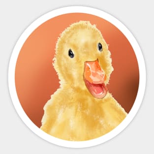 duckling. cute yellow bird in the circle Sticker